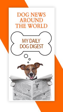 Pet service directory