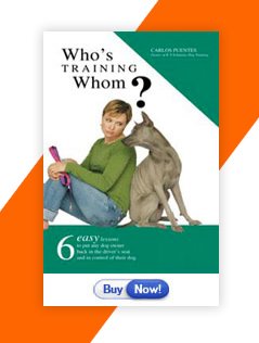 Who's Training Whom?